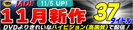 11月新作